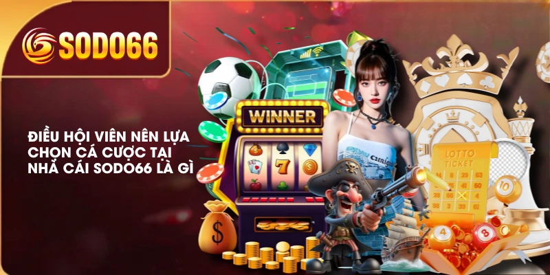 Giới Thiệu Nhà Cái SODO66 Là Gì? Điểm Đến Giải Trí An Toàn 1 Điều hội viên nên lựa chọn cá cược tại nhà cái SODO66 là gì