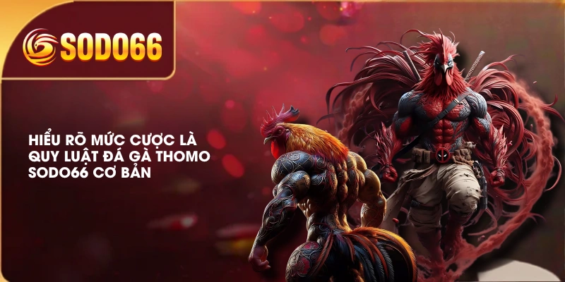 Hiểu rõ mức cược là quy luật đá gà Thomo SODO66 cơ bản