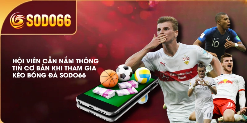 Hội viên cần nắm thông tin cơ bản khi tham gia kèo bóng đá SODO66