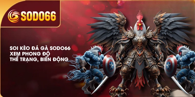 Soi Kèo Đá Gà SODO66 | Xem Phong Độ, Thể Trạng, Biến Động 1 Soi Kèo Đá Gà SODO66 | Xem Phong Độ, Thể Trạng, Biến Động