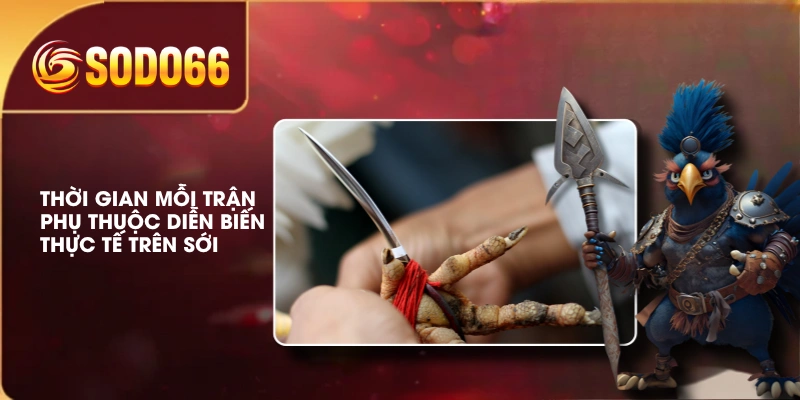 Thời gian mỗi trận phụ thuộc diễn biến thực tế trên sới 